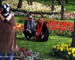 جشنواره گلهای بهاری در بوستان ملت در مشهد