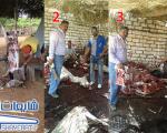 تصاویر کشتار الاغ در یک رستوران در کشور! / شایعه 0496