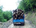 58 قاچاقچی چوب امسال در غرب مازندران دستگیر شدند