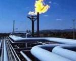 فعالیت 170 شرکت دانش بنیان درحوزه نفت و گاز