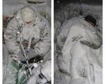 عکسی از مدافعان حرم در برف و سرمای شدید