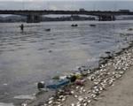 نگرانی مسئولان ورزش جهان از شدت آلودگی آب‌های ریو