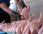 مرغی که سوسیس شد/ استفاده مشروط از خمیر مرغ و ریسک آلودگی‌های میکربی+عکس