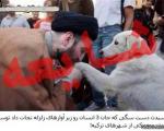 بوسیدن دست سگ توسط امام جمعه ترکیه واقعیت دارد؟! + تصاویر