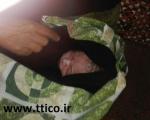 تولد نوزاد در قطار اهواز - تهران (+عکس)