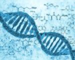 محققین دانشگاه جورجیا کوچکترین قطعه الکترونیکی جهان را با استفاده از مولکول DNA توسعه دادند