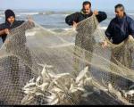 هوای مساعد موجب افزایش 17 درصدی صید ماهی در گیلان شد