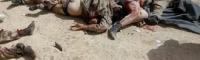 سلفی مدافعان حرم با اجساد 60 داعشی + فیلم و عکس (18+)