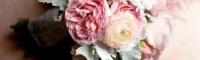 تصاویری از دسته گل عروس جدید -آکا